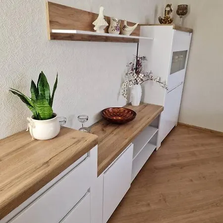 Baroness 아파트 리가